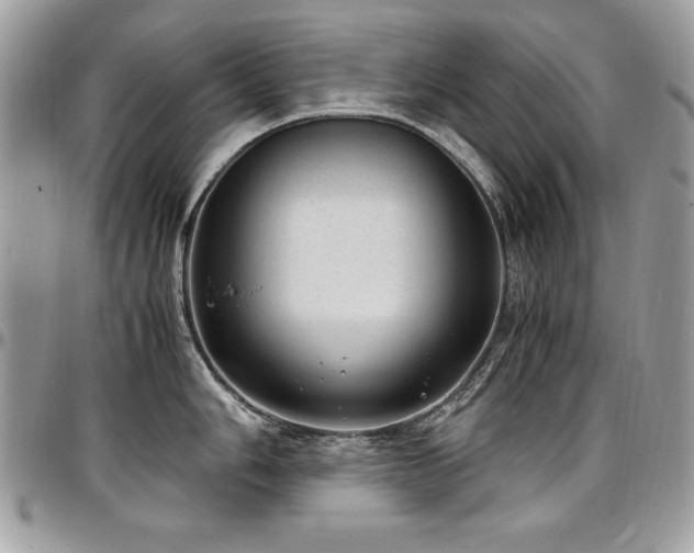X0000097301006200802151434