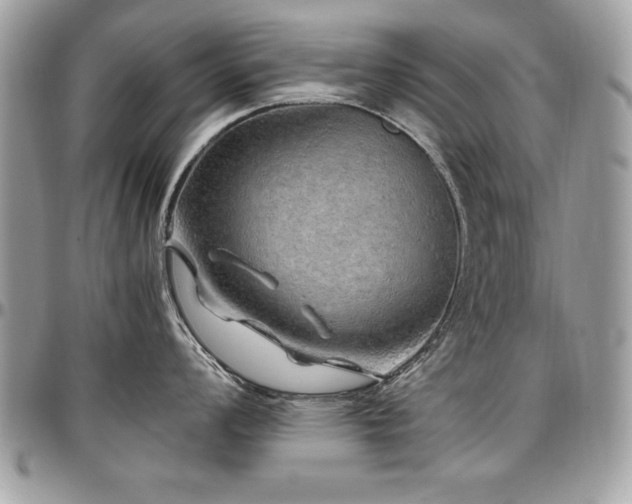X0000097301008200802151434