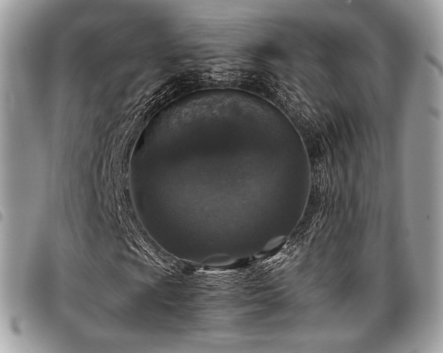 X0000097301009200802151433