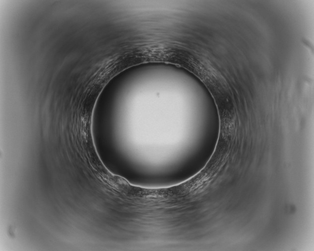 X0000097301010200802151433
