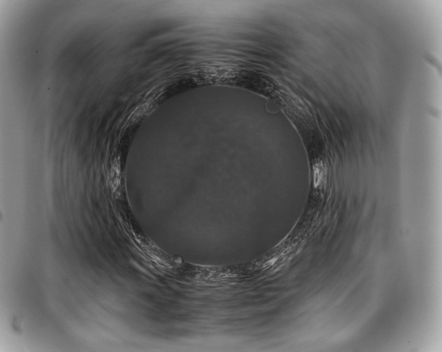 X0000097301011200802151433