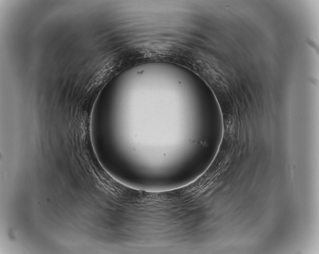 X0000097301012200802151433