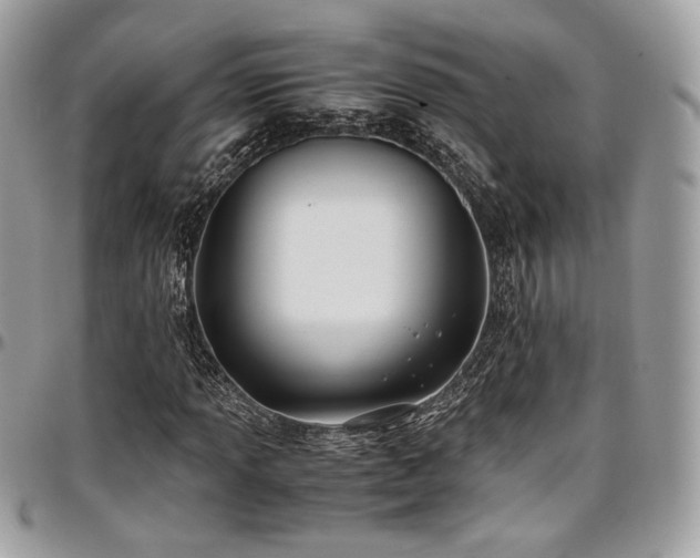 X0000097301013200802151433