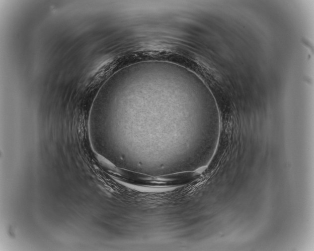 X0000097301014200802151433