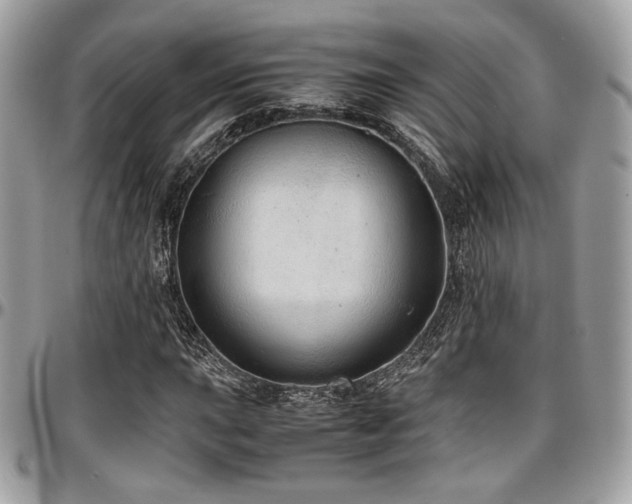 X0000097301015200802151433