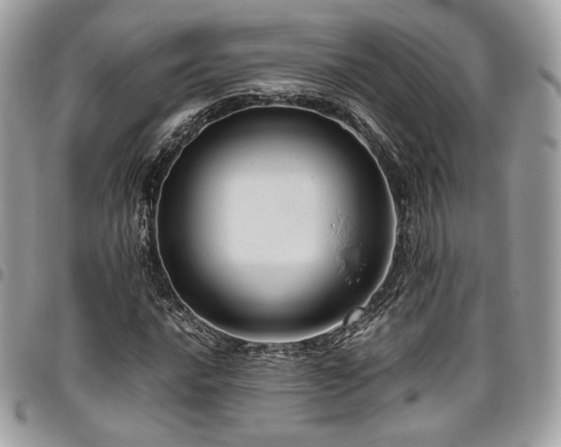 X0000097301016200802151433