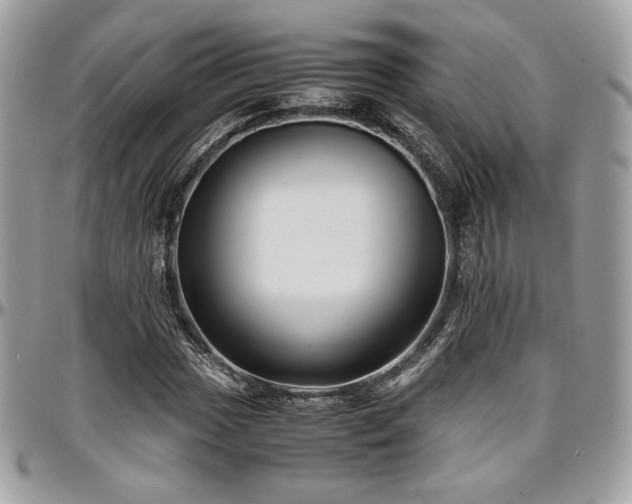 X0000097301017200802151433