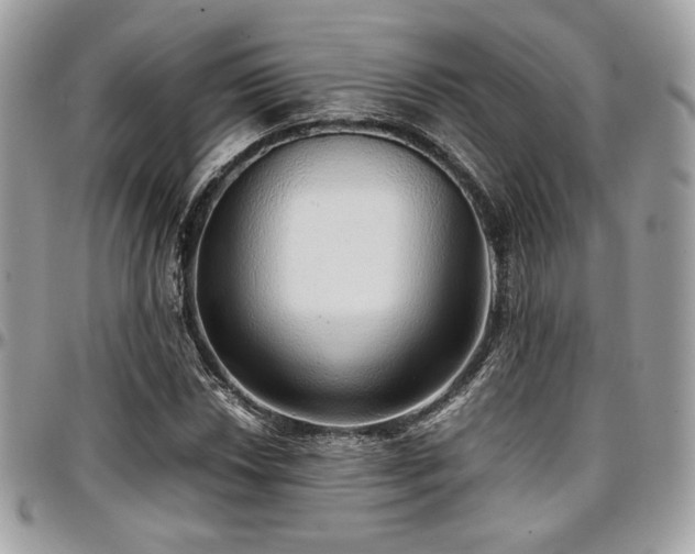 X0000097301018200802151433