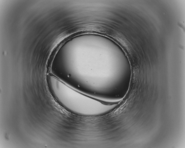 X0000097301020200802151433