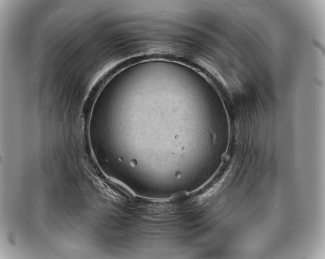 X0000097301021200802151433