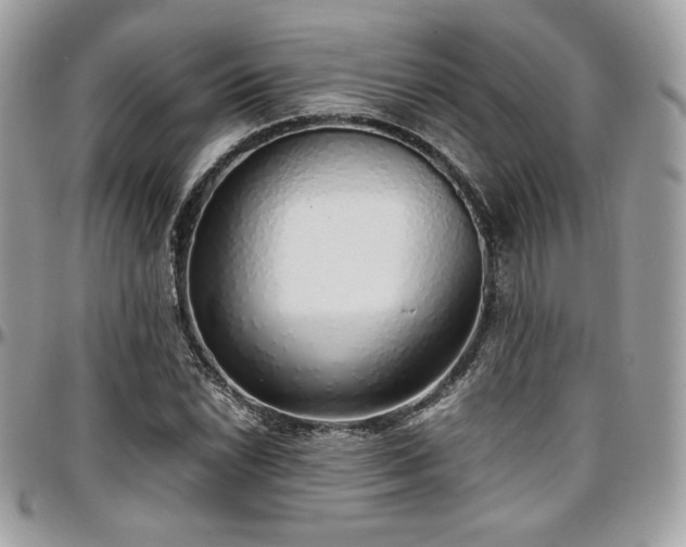 X0000097301022200802151433