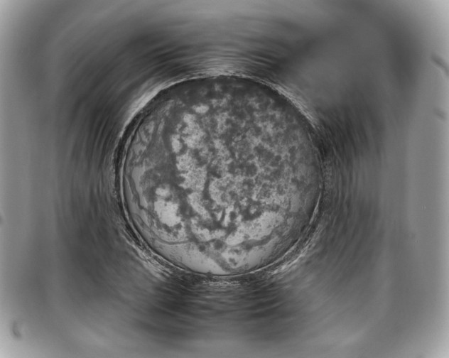 X0000097301023200802151433