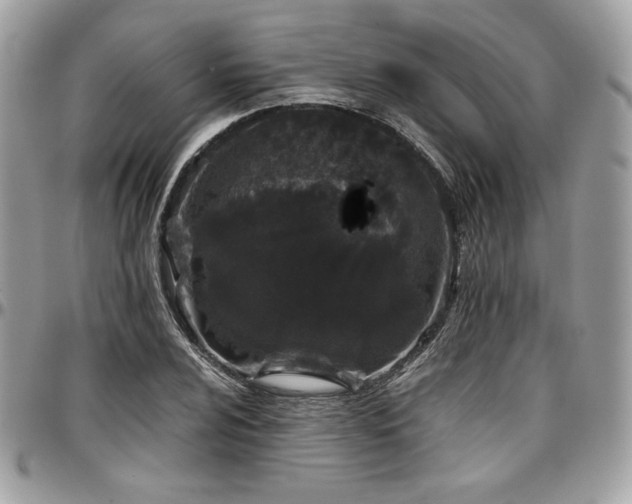 X0000097301024200802151433