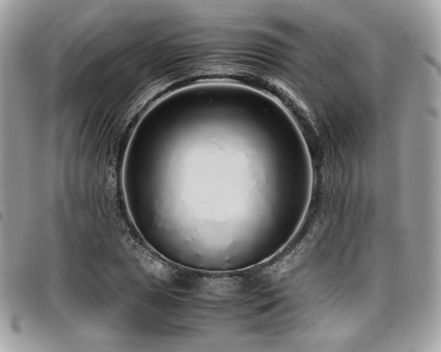 X0000097301025200802151433