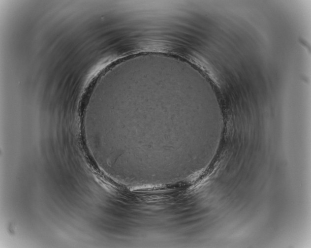 X0000097301027200802151433