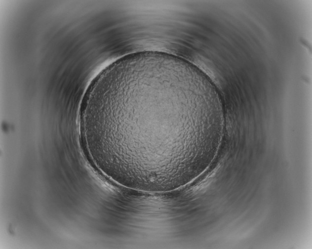 X0000097301028200802151433