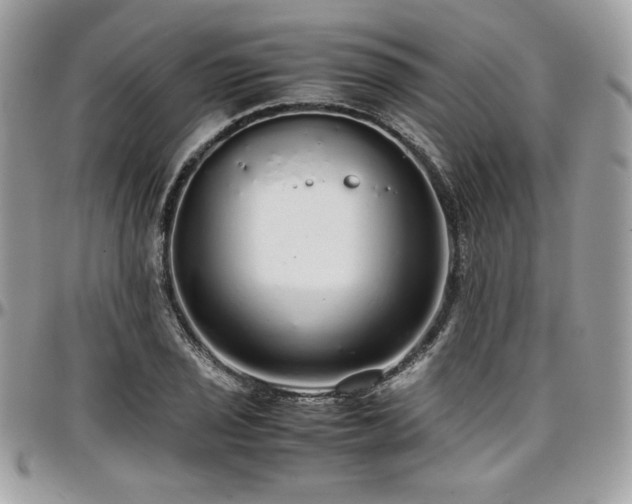 X0000097301029200802151433