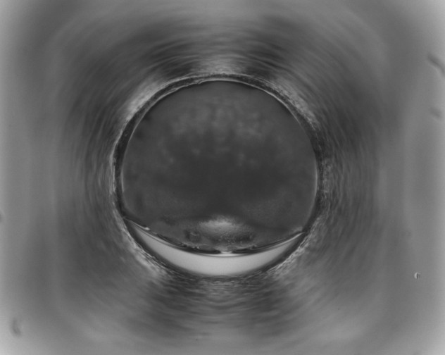 X0000097301031200802151433