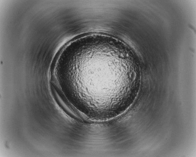 X0000097301032200802151433