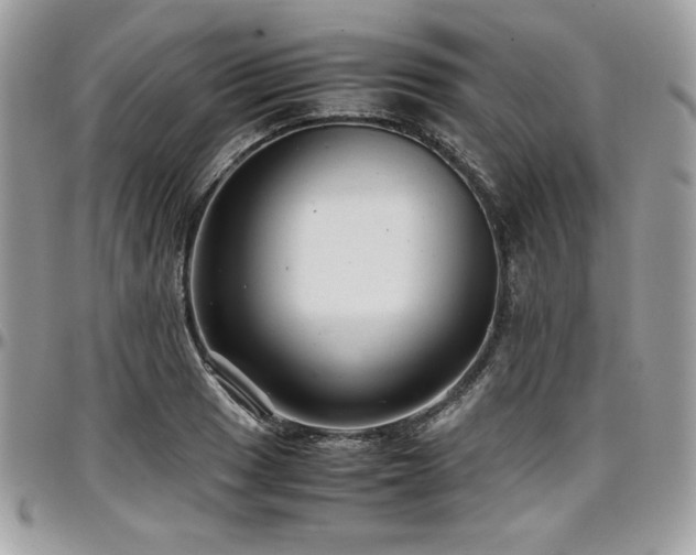 X0000097301033200802151433