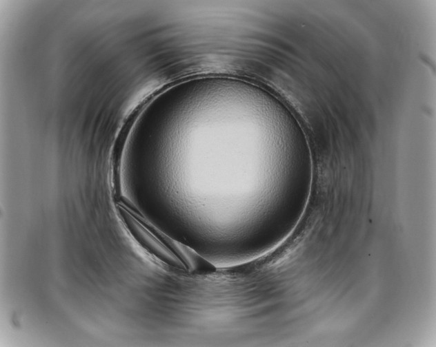 X0000097301034200802151433