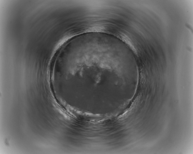 X0000097301035200802151433