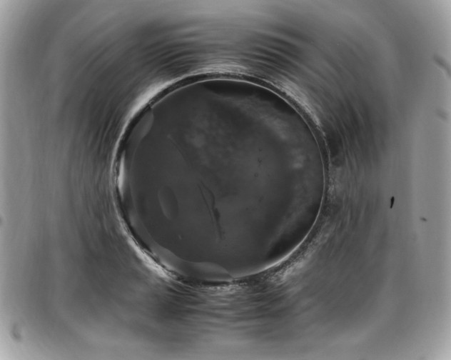X0000097301037200802151433