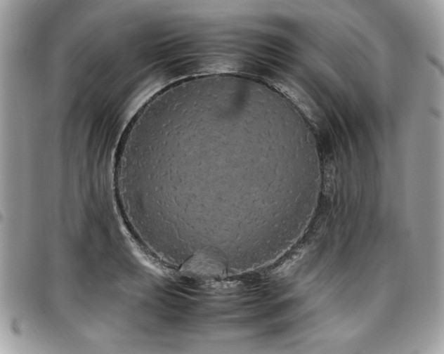 X0000097301039200802151433
