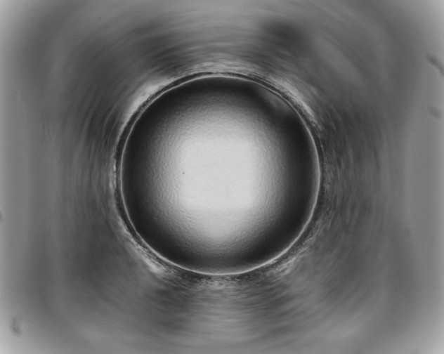X0000097301040200802151434