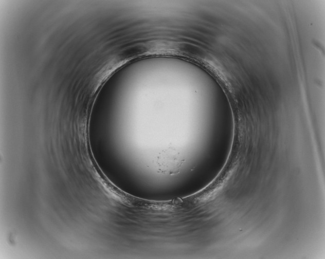X0000097301041200802151434