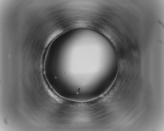 X0000097301042200802151434