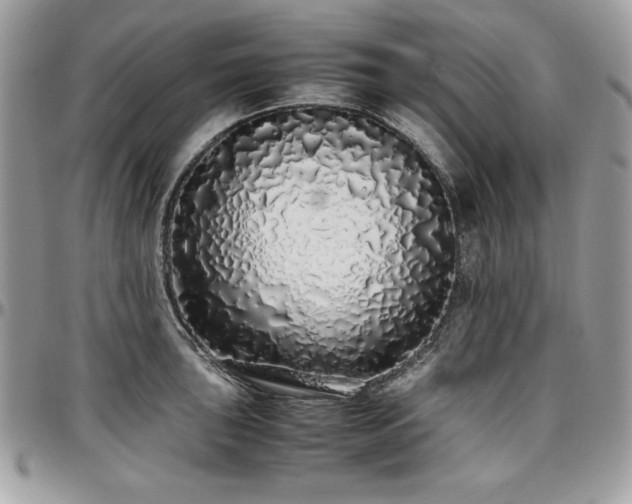 X0000097301043200802151434