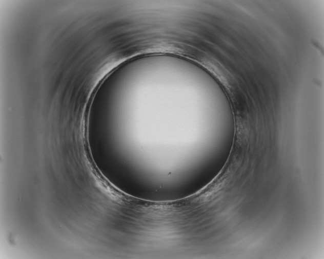 X0000097301044200802151434