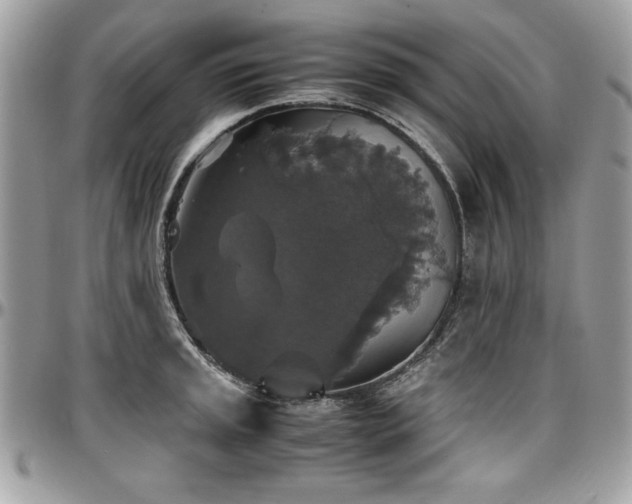 X0000097301045200802151434