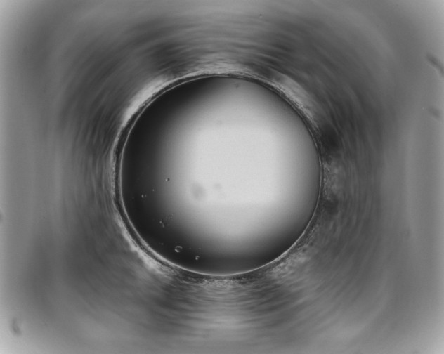 X0000097301046200802151434