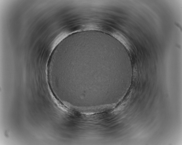 X0000097301047200802151434