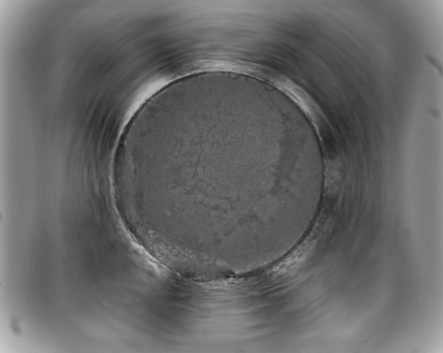 X0000097301048200802151434