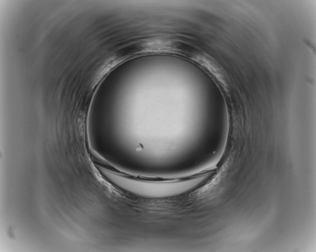 X0000097301049200802151434