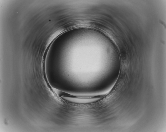 X0000097301050200802151434