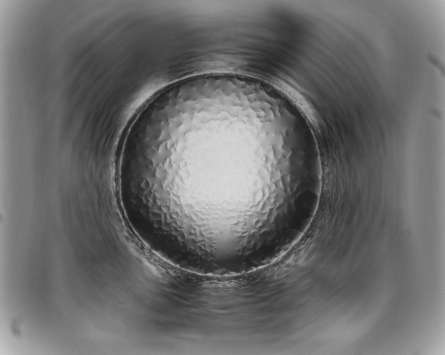 X0000097301051200802151434