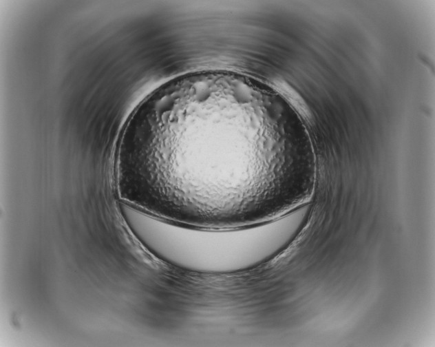 X0000097301052200802151434