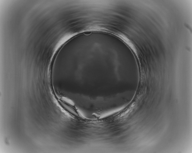 X0000097301053200802151434