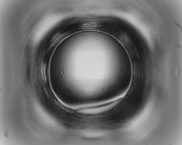 X0000097301054200802151434