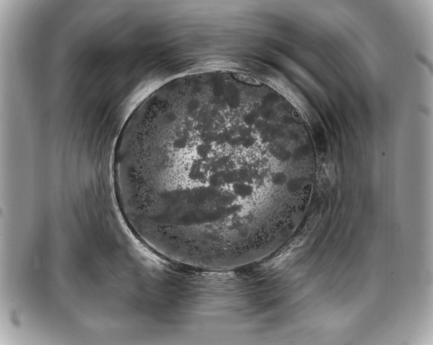 X0000097301055200802151434