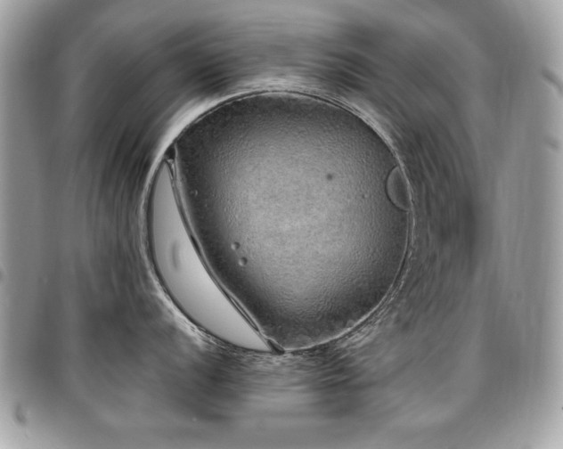 X0000097301056200802151434
