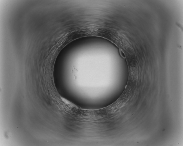 X0000097301057200802151433
