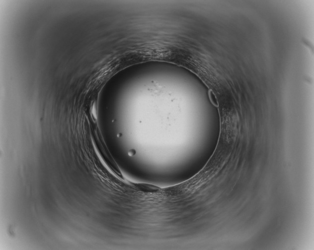 X0000097301058200802151433