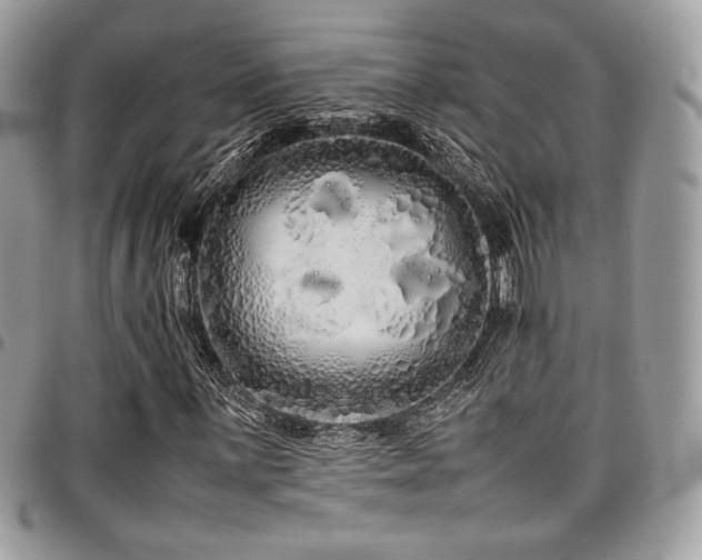 X0000097301059200802151433