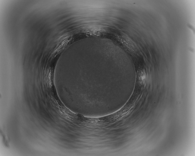 X0000097301060200802151433