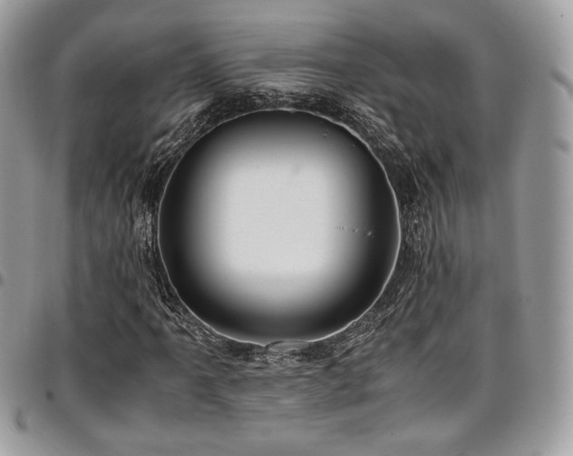 X0000097301061200802151433